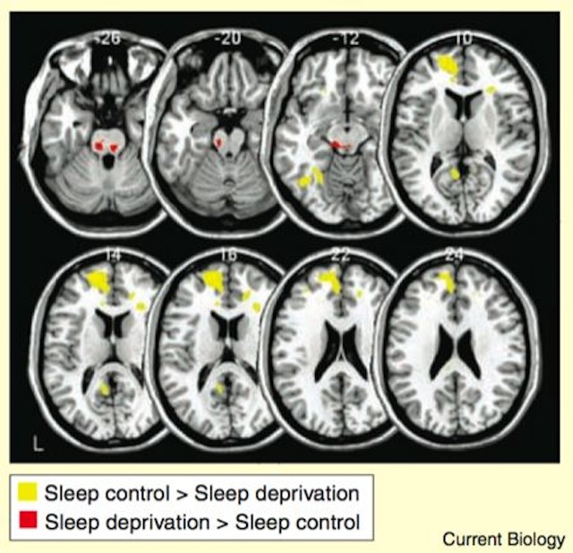 How Much Sleep Do You Really Need To Work As Productively As Possible?