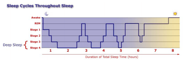 Why You Always Wake Up Early After A Night Of Drinking