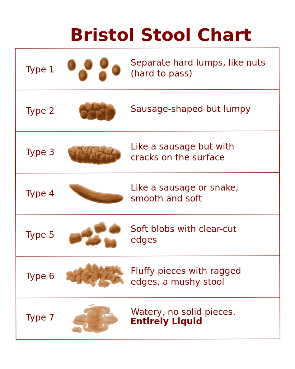 Ask LH: What Does The Shape And Colour Of My Poop Mean?