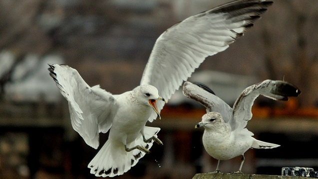 How To Control Your Temper Before You Lose It