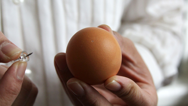 How To Make The Perfect Hard-Boiled Egg