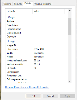 viewing image metadata in Windows 10 (Screenshot: Brendan Hesse)