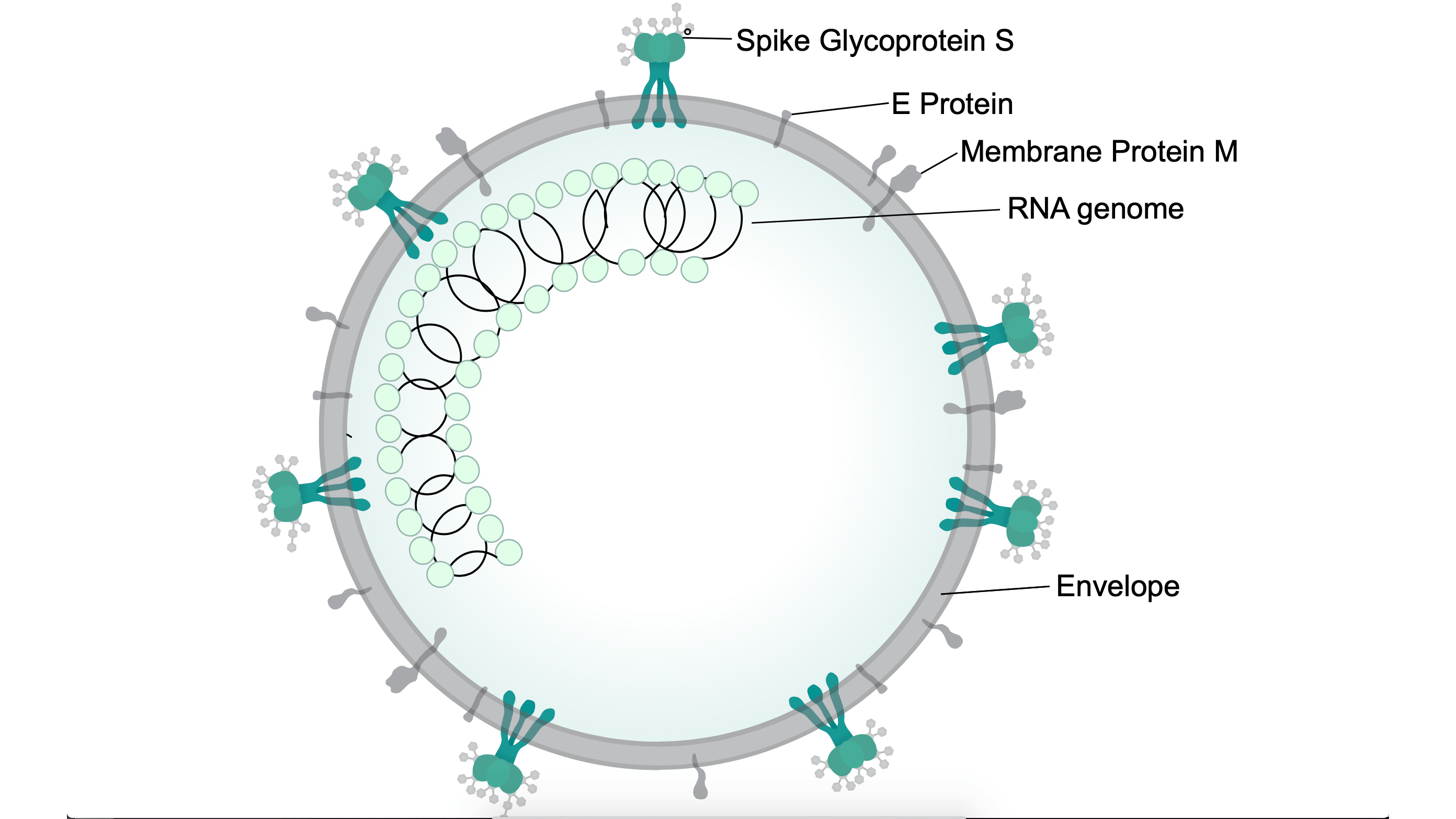 Illustration: SPQR10,Illustration: Wikimedia Commons, CC-BY-SA, Other