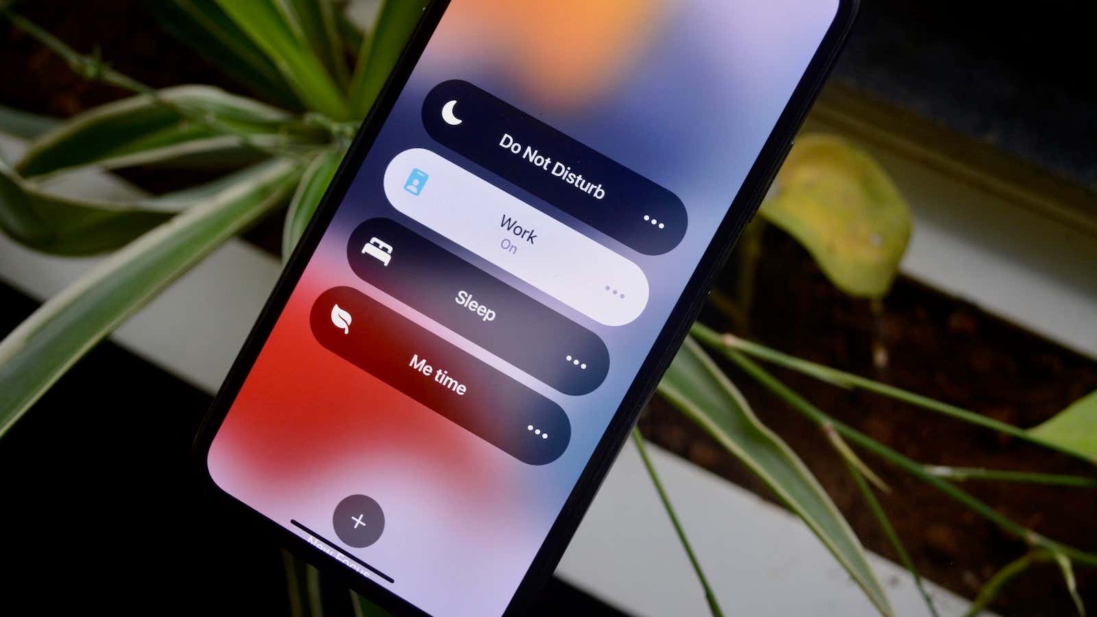 36 of the Best New iOS 15 Features for iPhone