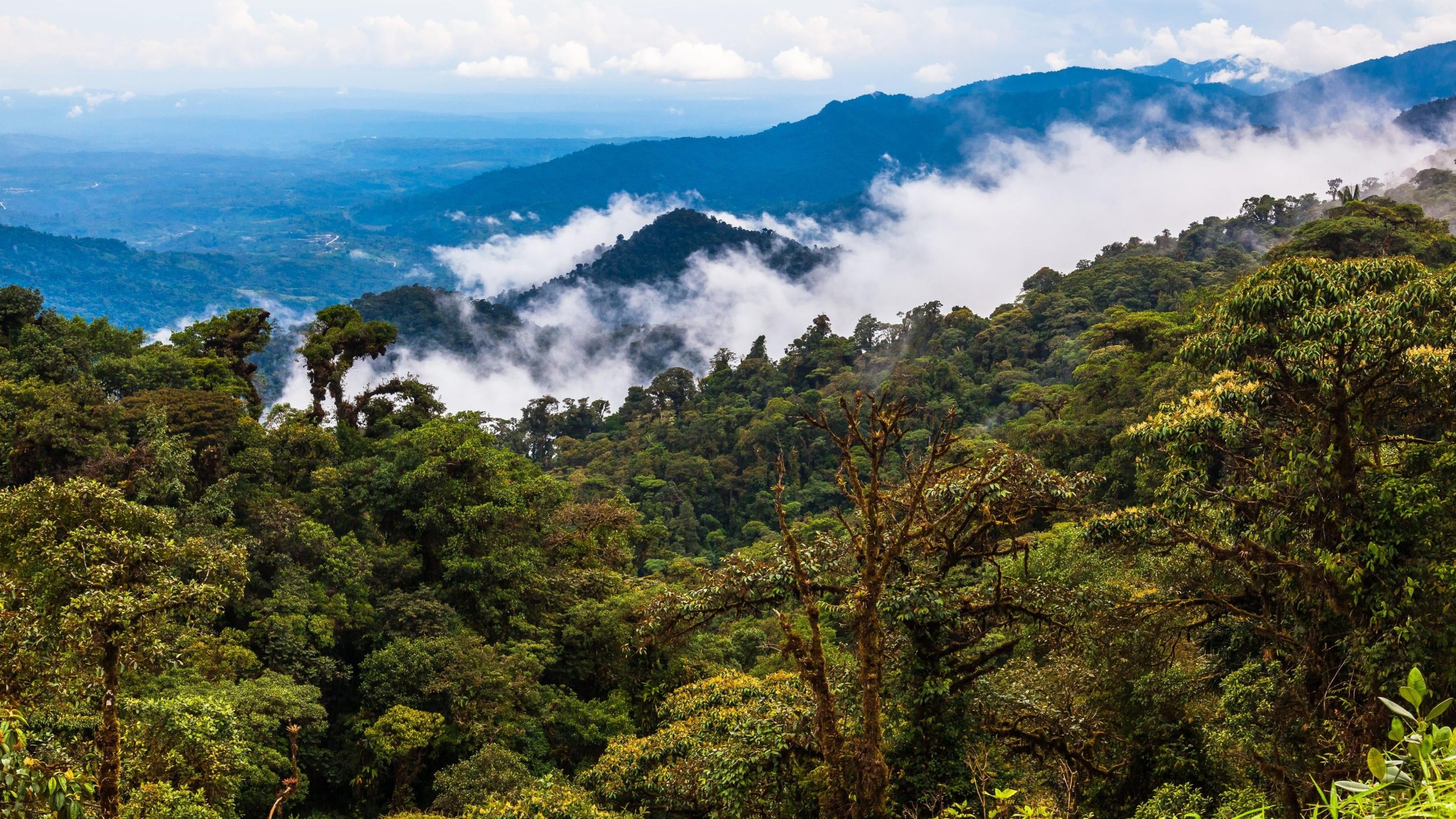 Image: Ecuadorpostales, Shutterstock