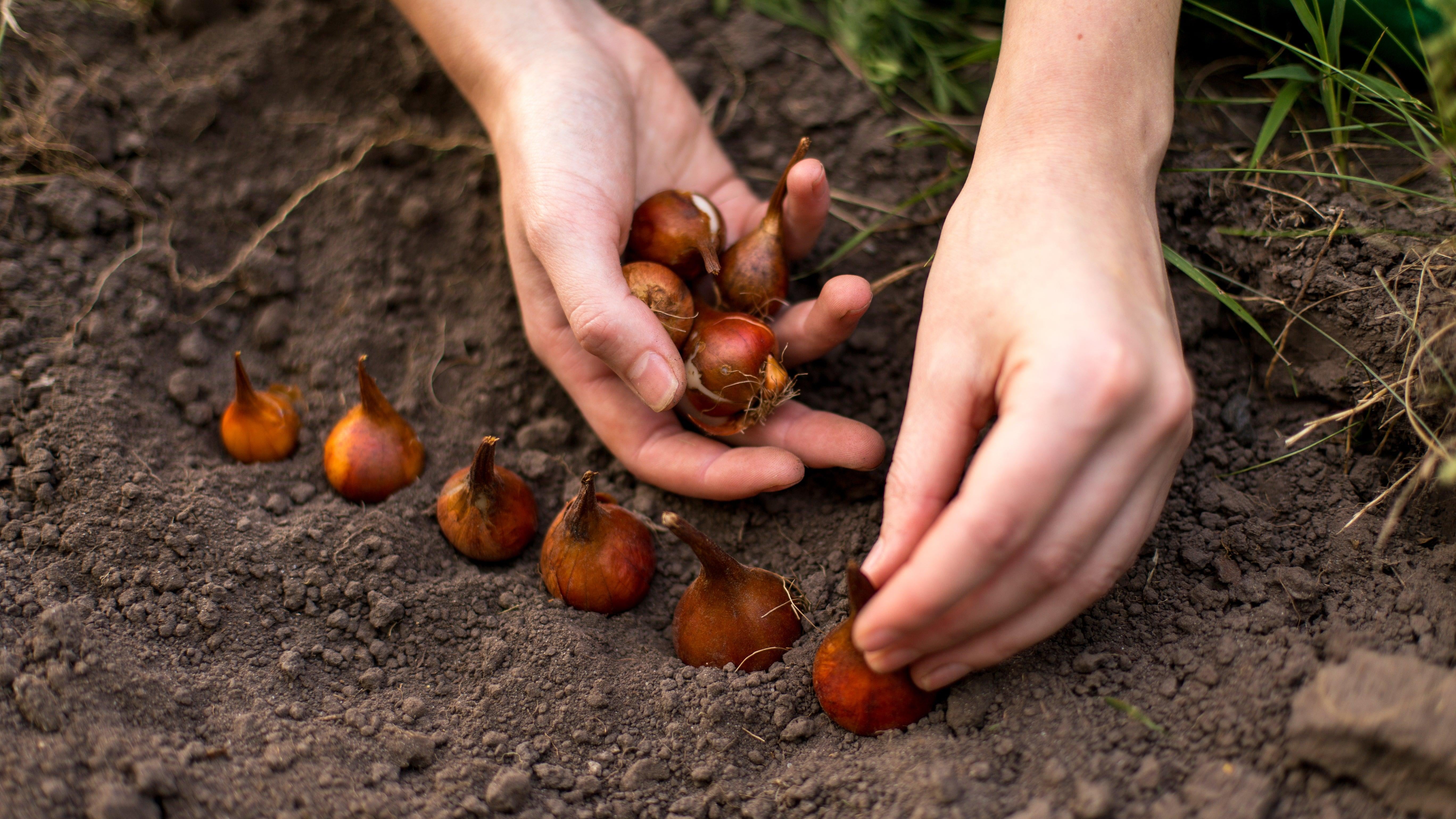 Photo: OlgaPonomarenko, Shutterstock