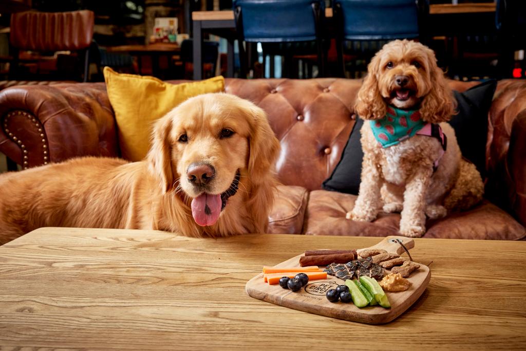 pet circle Barkuterie board