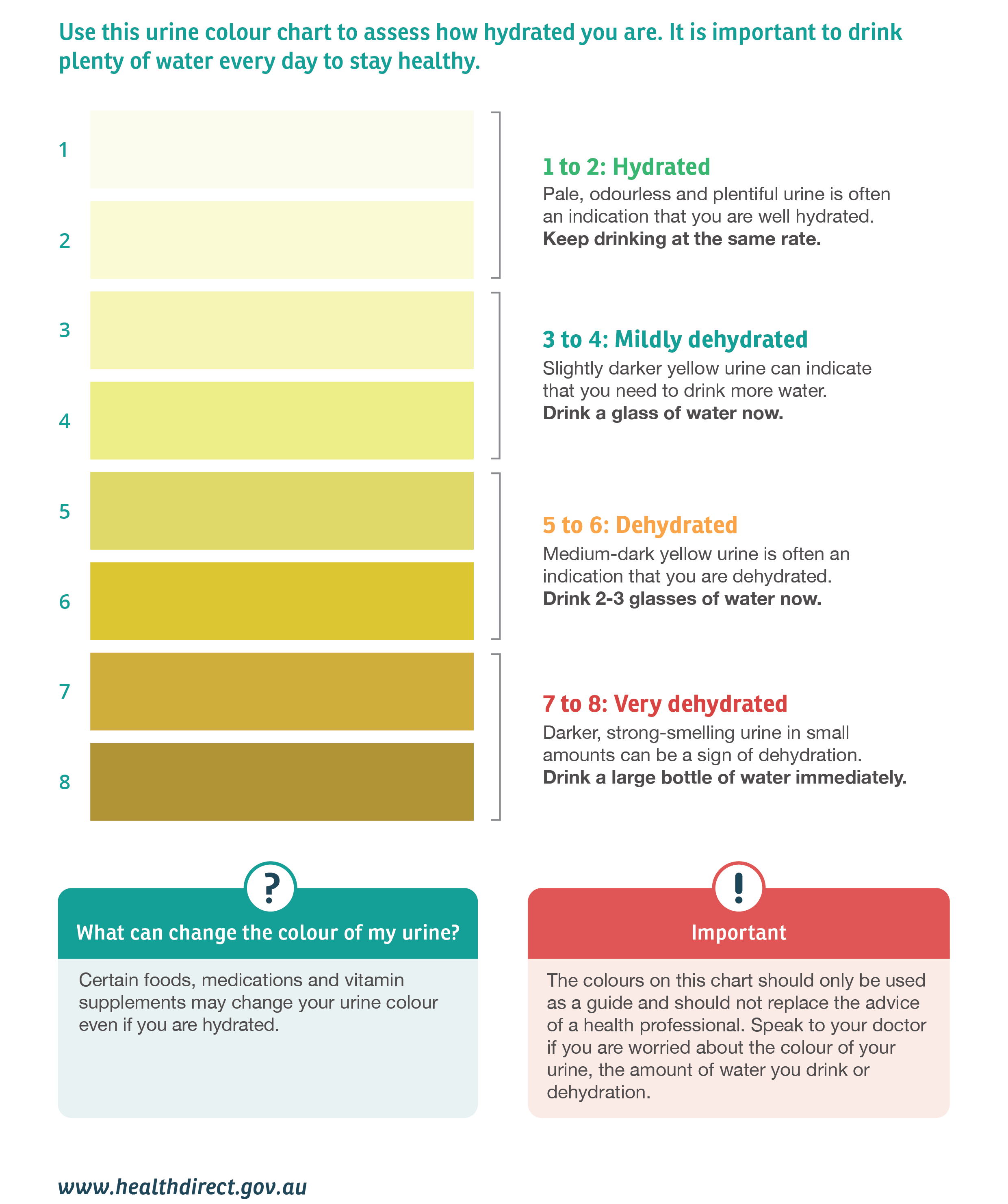 how much water should you drink?