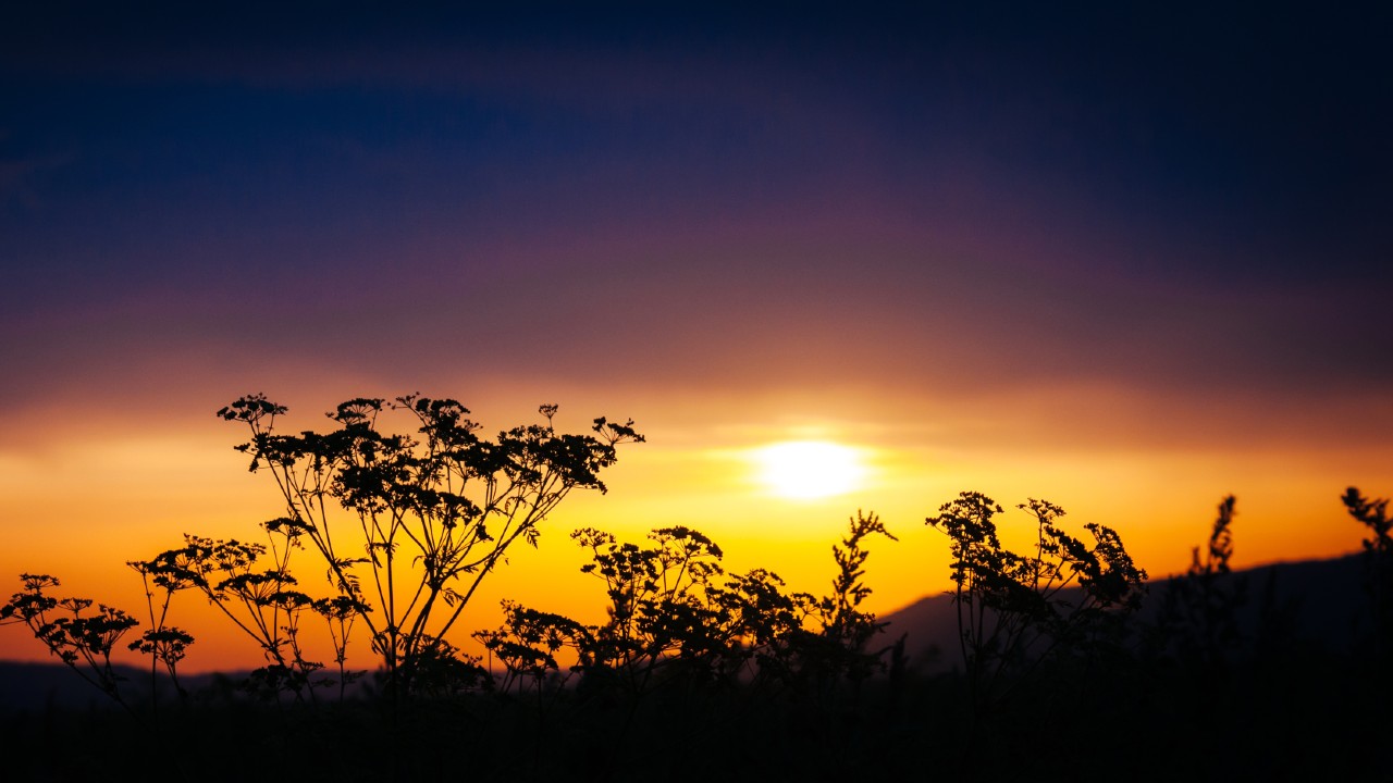 winter solstice australia