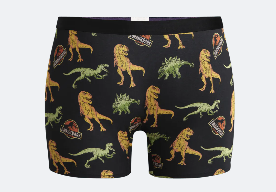 MeUndies with Jurassic Park Pattern